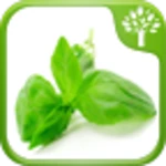 Logo of Home Remedies android Application 